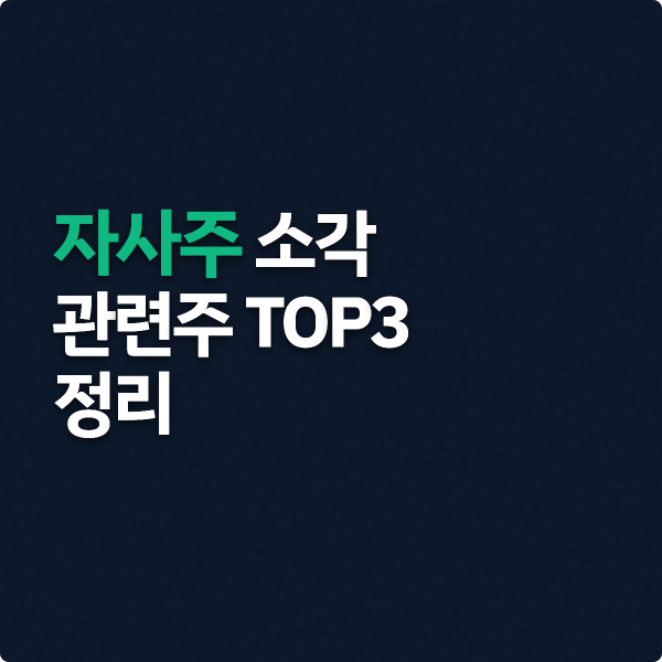  자사주 소각 관련주 TOP3  정리