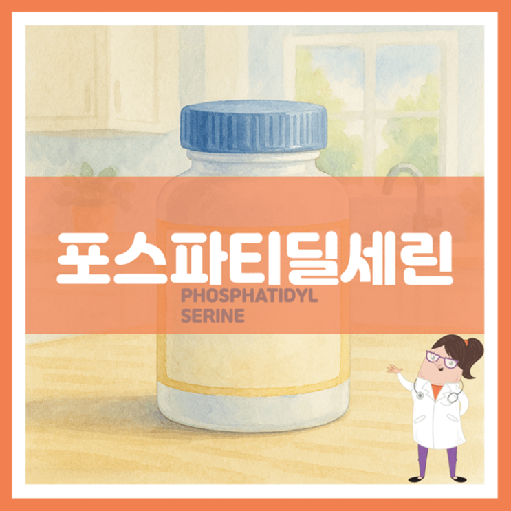  포스파티딜세린 3가지 효능 섭취방법 부작용