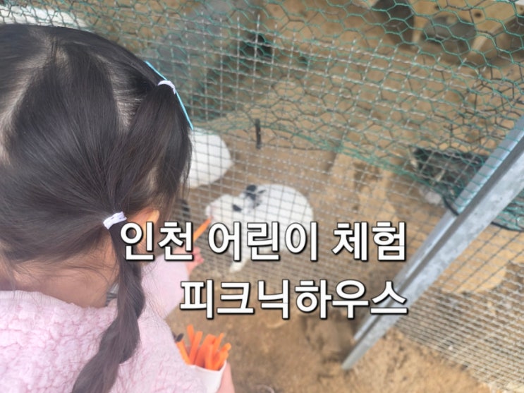  인천 어린이 체험 남동구 피크닉하우스 다녀온 후기 모래놀이부터 먹이 체험 애견 동반까지 가능한 곳