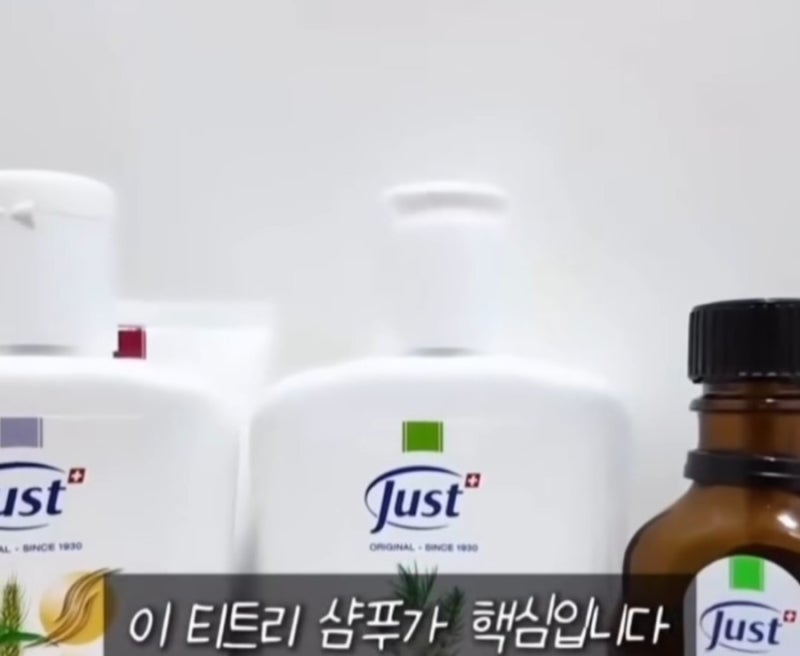 옥주현 샴푸 유스트 티트리 샴푸 성분 효과 총정리