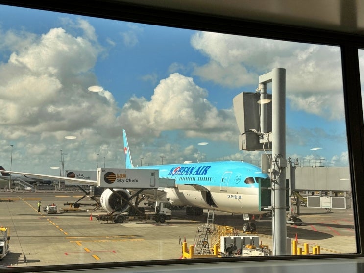  뉴질랜드 오클랜드 대한항공 직항 항공권 보잉 787-10 이코노미 탑승 후기 기내식