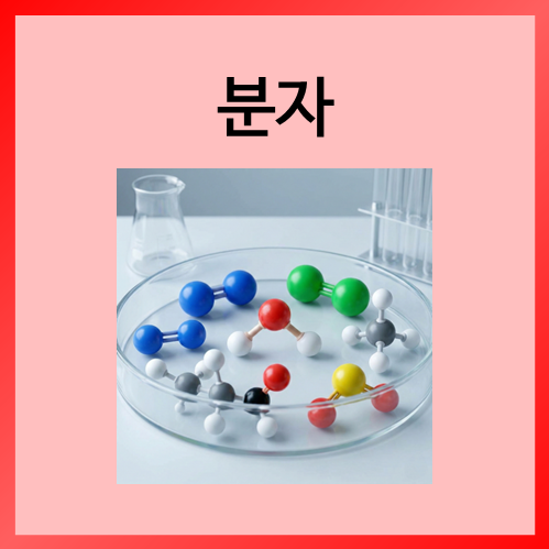  [중등화학]분자