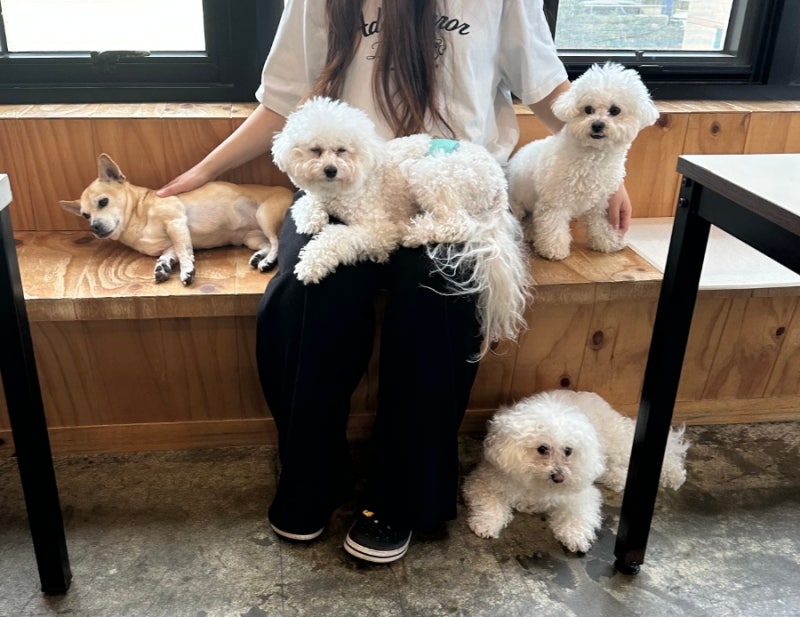 사진 3