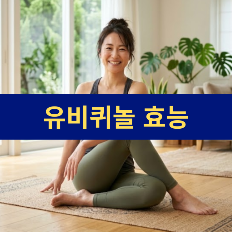  유비퀴놀 코큐텐 효능 코엔자임Q10 COQ10 효능