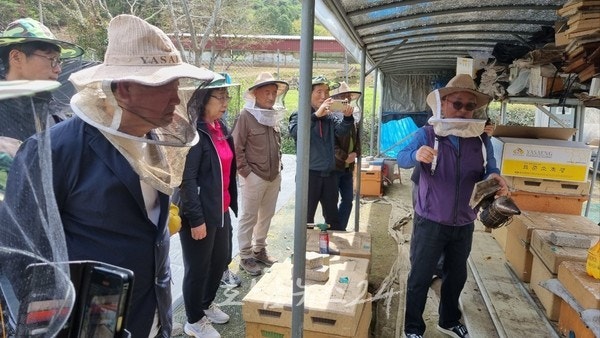  광주시 “꿀벌 생태 배우며 꿀 수확하세요”..시민체험양봉장 참가자 200명 모집