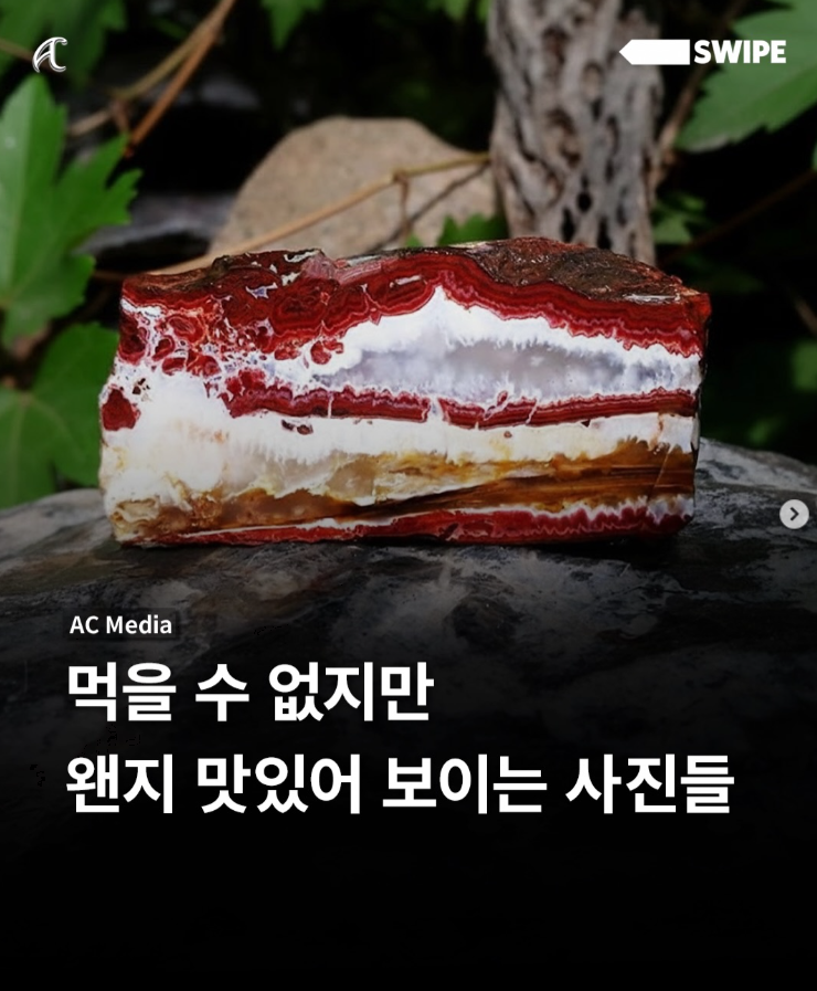  먹을 수 없지만 왠지 맛있어 보이는 사진들
