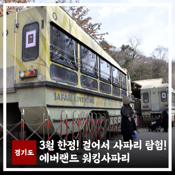  2026 에버랜드 워킹사파리 3월 한정! 로스트밸리 입장권 예약 및 할인 방법 안하면 손해!