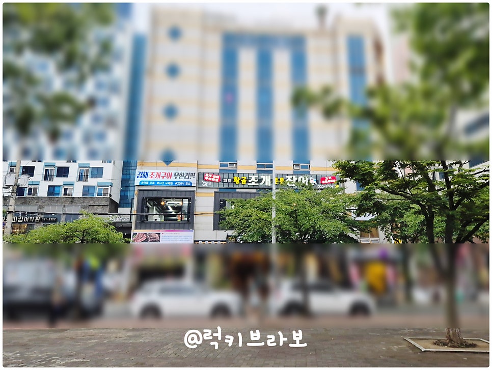 황금조개튼튼장어 사진 3