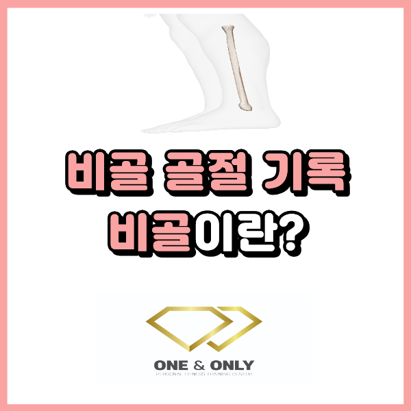  비골 골절 기록 : 비골이란?(종아리뼈)