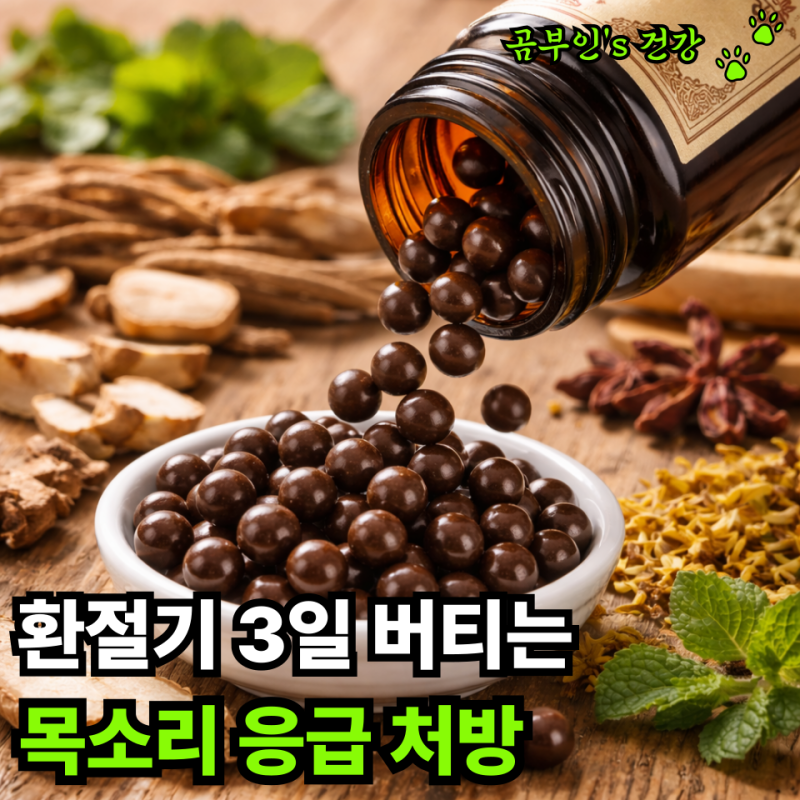 향성파적환 성대 관리, 환절기 “3일” 버티는 비결