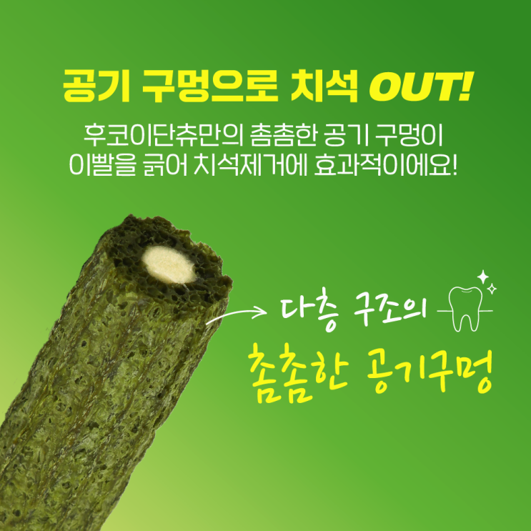  강아지 덴탈껌 추천 BEST 4  입냄새와 치석 걱정 끝!