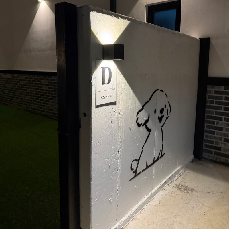 사진 7