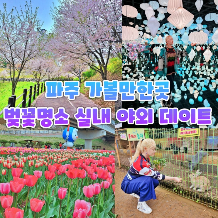  파주 가볼만한곳 벚꽃 명소 운정호수공원 영산수련원 쇠꼴마을 뮤지엄헤이 코스