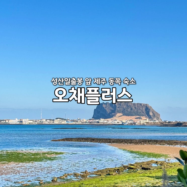  제주도 펜션 추천 제주 동쪽 성산 숙소 독채 오채플러스