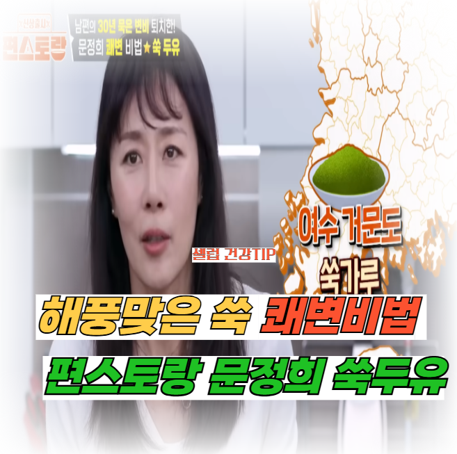 변비와 몸을 따뜻하게 하는 문정희쑥두유 레시피"거문도 해풍맞은 쑥가루"