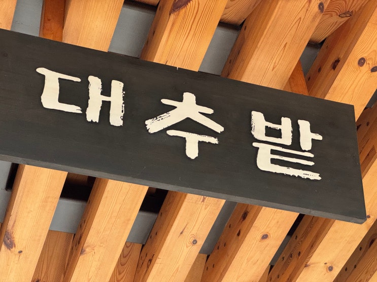  [경주여행] 경주 1박2일 여행 - 대추밭백한의원 예약 실패 및 성공후기! 네이버 예약 꿀팁, 경주 대추밭백한의원 삼신할배 진료후기, 진료시 꿀팁, 미리알아가야할 정보, 한약 가격