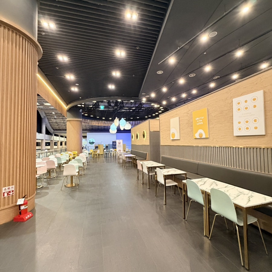 옐로우인더화이트 사진 5