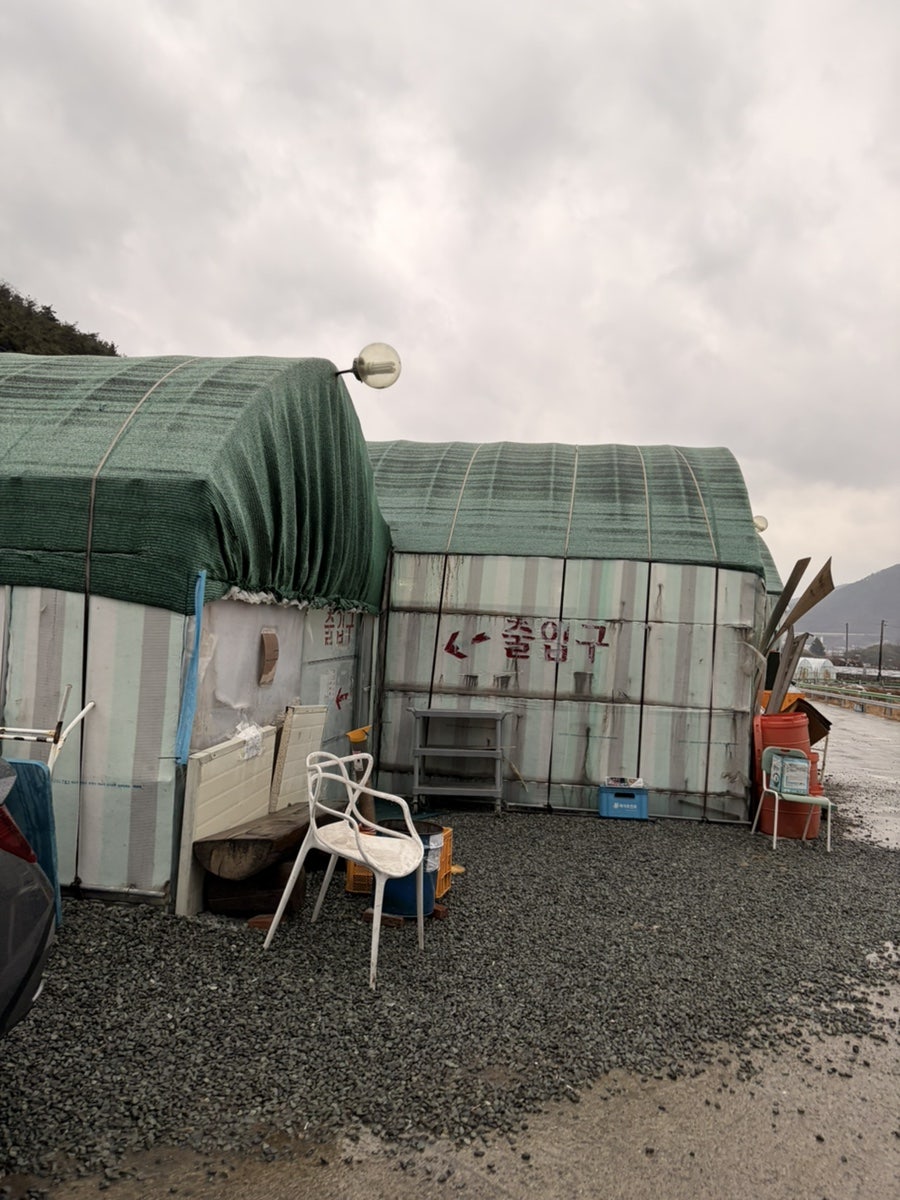 삼부자미나리식당 사진 4