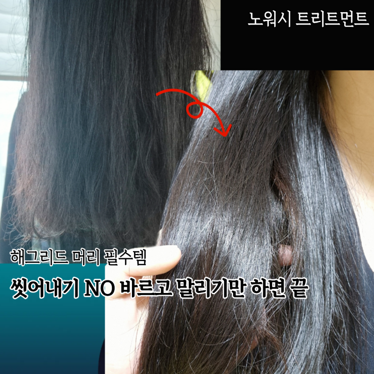 모발 단백질케어 노워시트리트먼트 해그리드 곱슬머리 탈출기