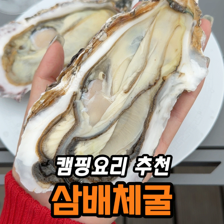  캠핑 삼배체굴 내돈내산｜하프셀 반손질, 생으로 vs 훈연 뭐가 나았을까