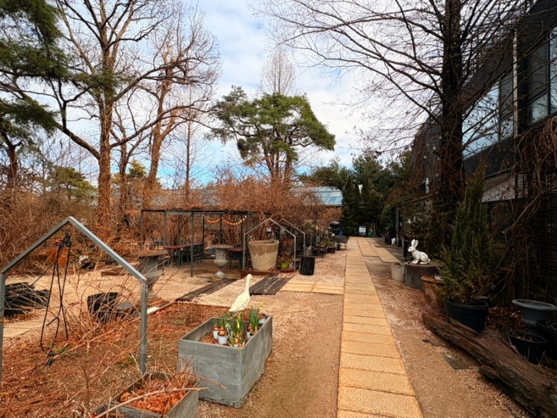 사진 7