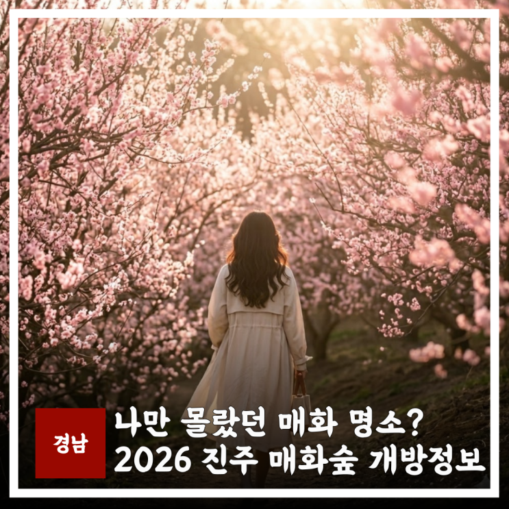  2026 진주 매화숲 개방, 가는길 주차장 실시간 만개 정보 아이랑 가볼만한곳