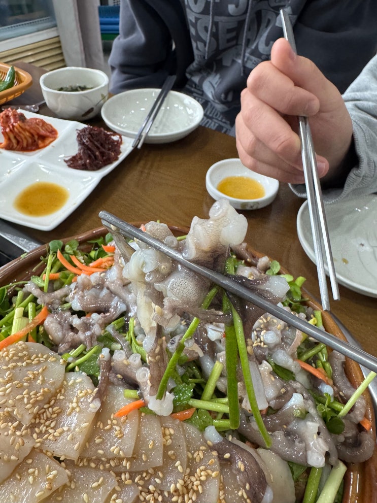  전남 장흥 낙지삼합맛집 신가네
