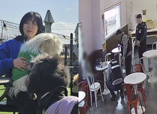  이상아 운영 애견카페에 경찰 출동…"법 개정 때문, 당연히 화나" (전문)[엑's 이슈]