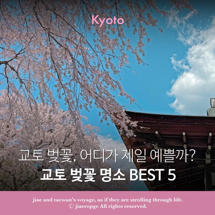  교토 벚꽃 명소 BEST 5, 어디가 제일 예쁠까?