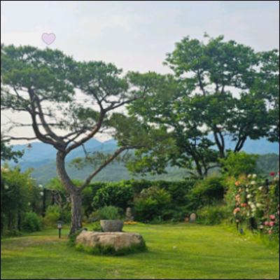 사진 4