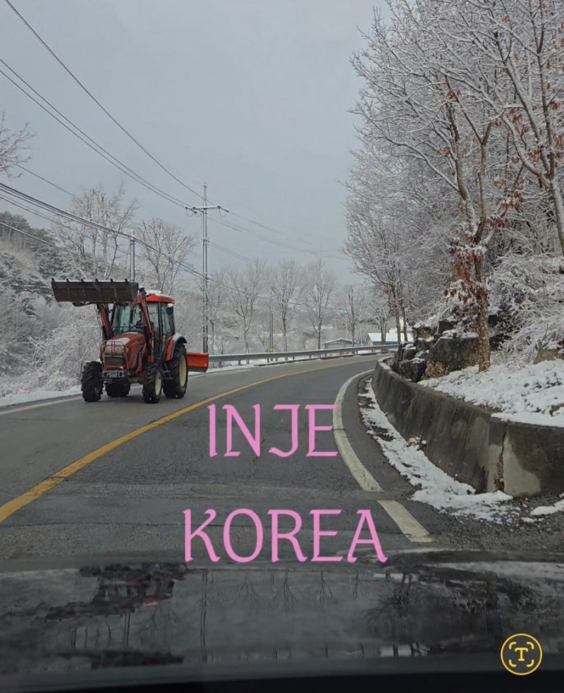 사진 3