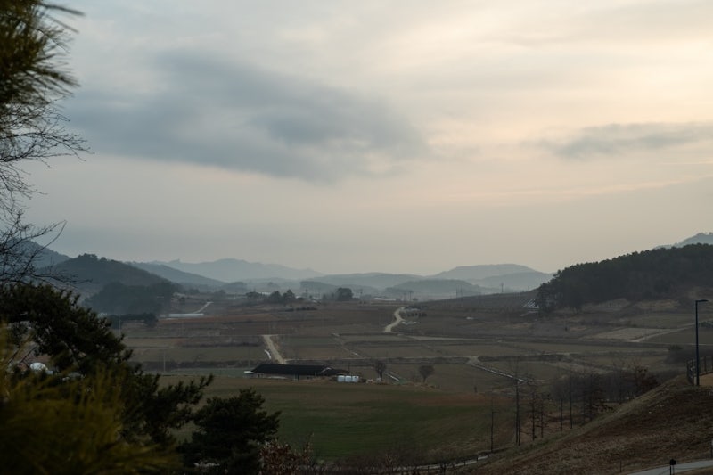 사진 2