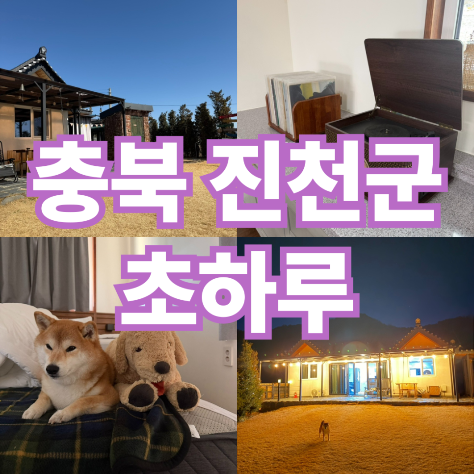 초하루 사진 1
