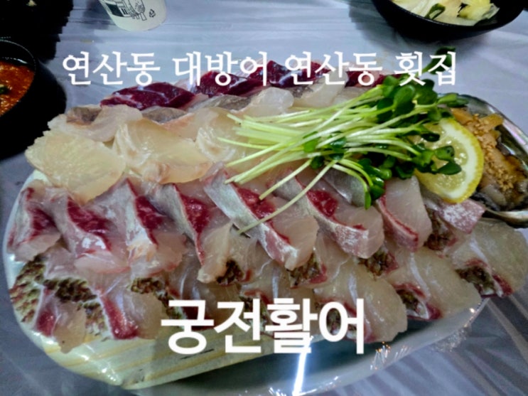  연산동대방어 부산연산동횟집 궁전활어