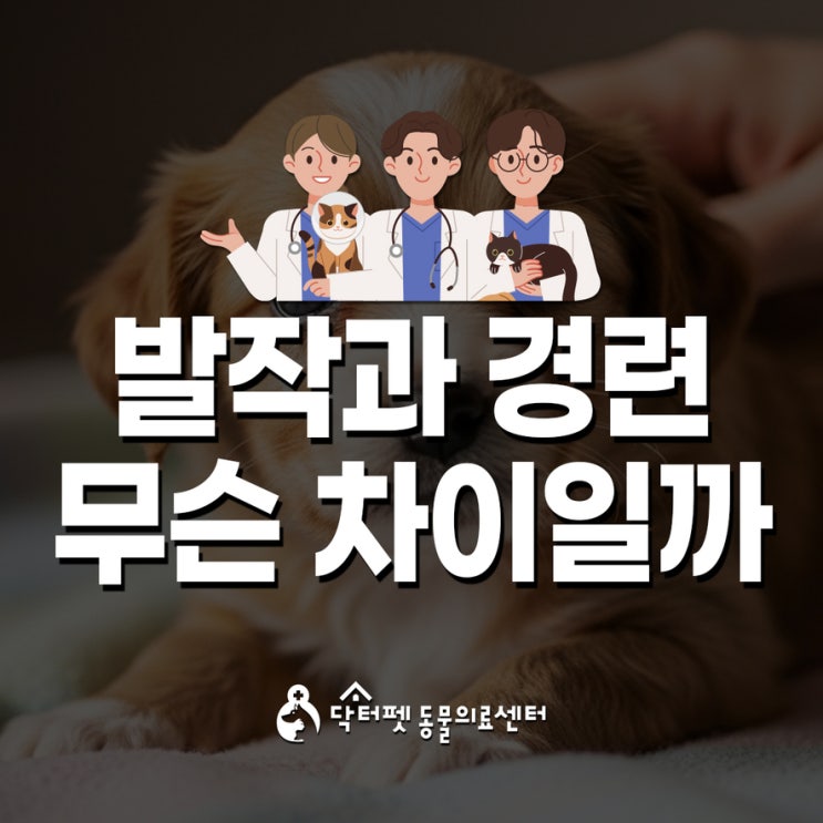  강아지 발작과 경련 무슨 차이일까?Seizure Convulsion Epilepsy 간질 뇌전증