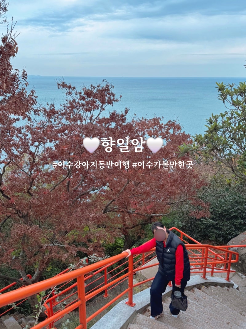 여수 향일암 애견동반 후기