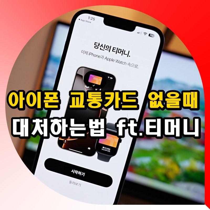 아이폰 교통카드 없을때 대처 하는법 티머니 발급 등록 사용법