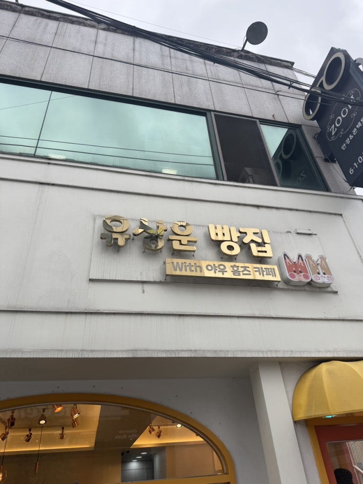  [포항] 유상운 빵집 추천해요
