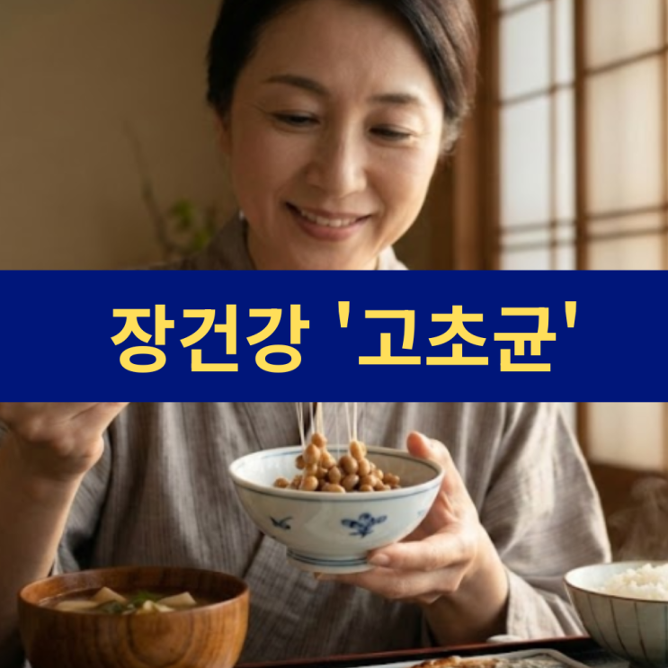  장건강 지킴이 '고초균' 나또 청국장 효능