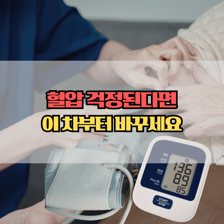  혈압에 좋은 차 7가지, 꾸준히 마시면 달라질까?