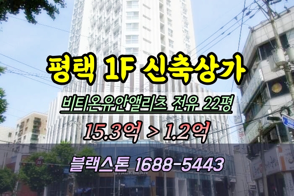  평택 합정동 1층상가 경매 비티온유안앨리츠 40평대 2024타경1413