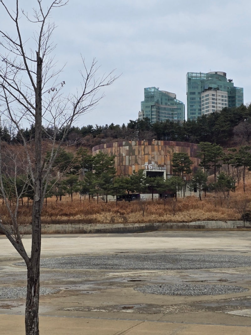 사진 3