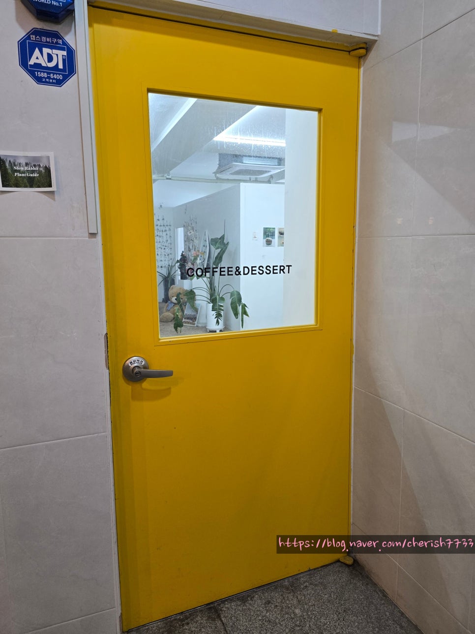 카페도라 영등본점 사진 3