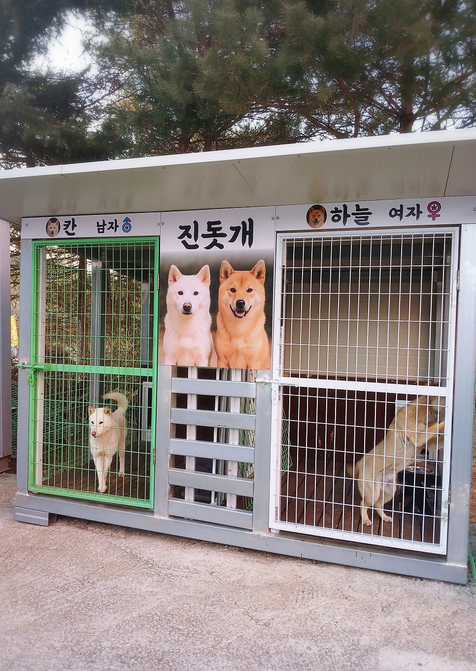 수룡저수지 사진 1