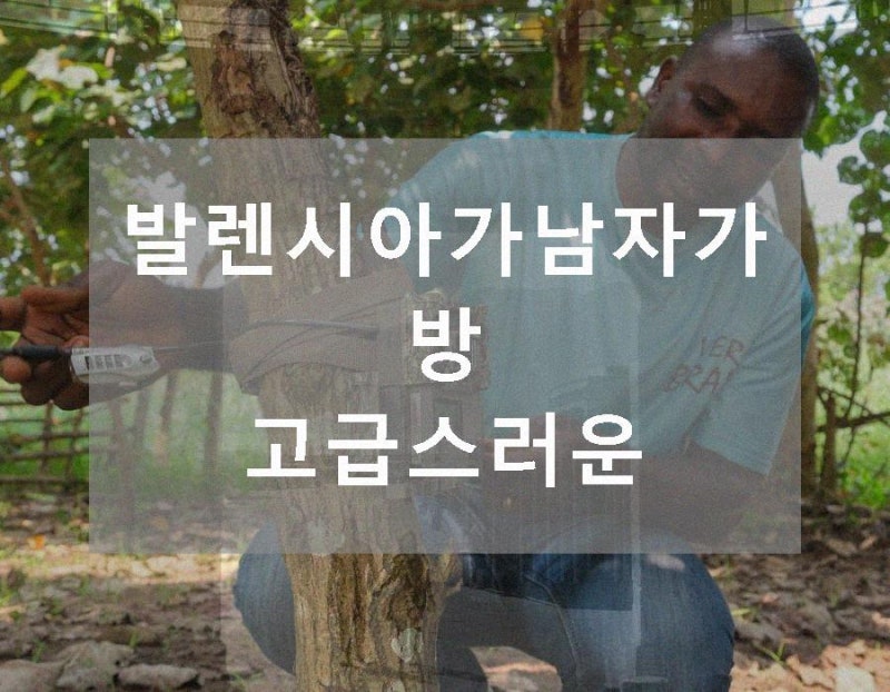 발렌시아가남자가방 고급스러운 가죽 소재와 디자인