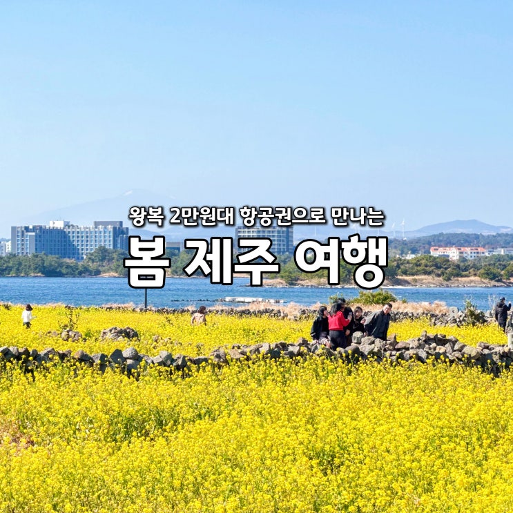  제주도 비행기표 예약 2만원대! 3월 봄 제주 여행 코스 숙소