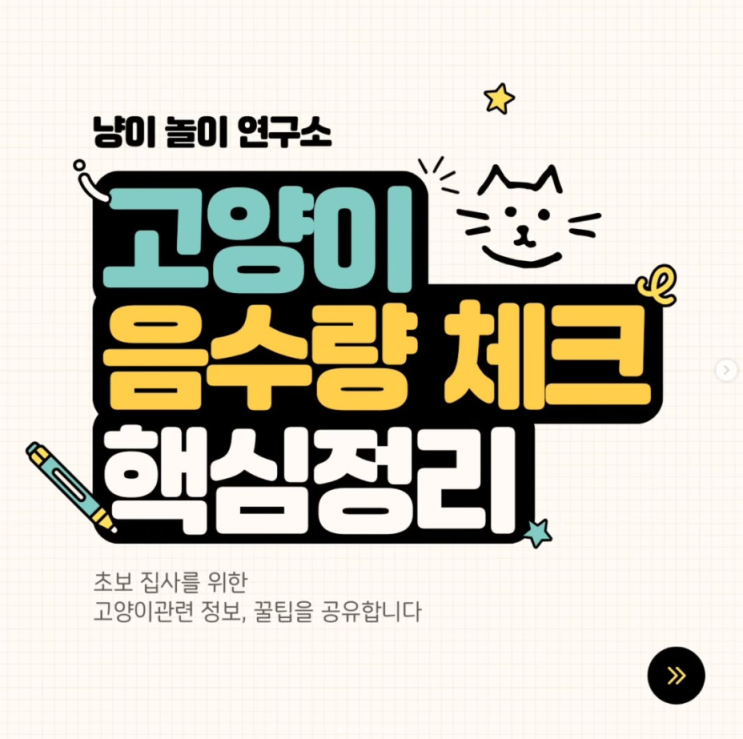  고양이 음수량 체크 핵심정리