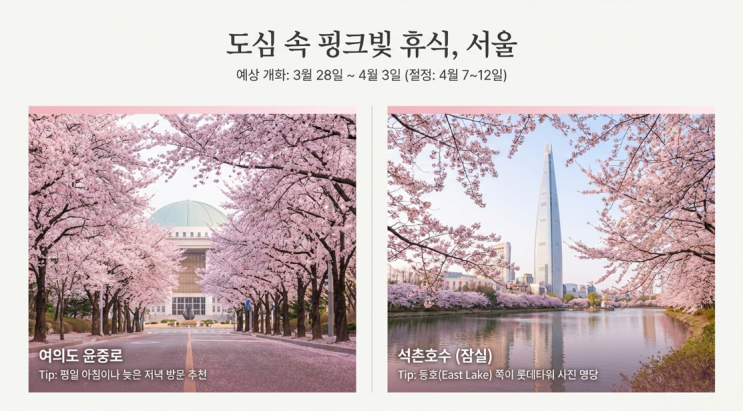  2026년 대한민국 봄꽃, 벚꽃 개화 시기 및 매화 산수유 트렌드 완벽 분석!! 명소 사진 및 타임라인, 드라이브 코스 등등