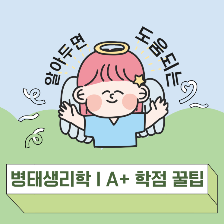  병태생리 A+ 받는 법: 드림원탑 병태생리학 저자가 말하는 루틴/암기법!