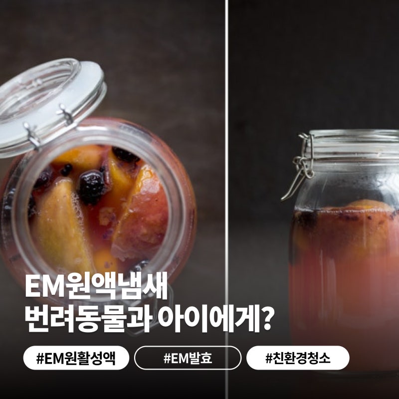 EM원액냄새 나는 이유 제대로 발효됐는지 확인법